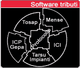 software per comuni, software tributi , ici , i.c.i , tarsu , tosap , affissioni , icp , protocollo , software autorizzazioni, accertamenti tributi