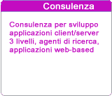 Consulenza e sviluppo applicazioni client/server 3 livelli